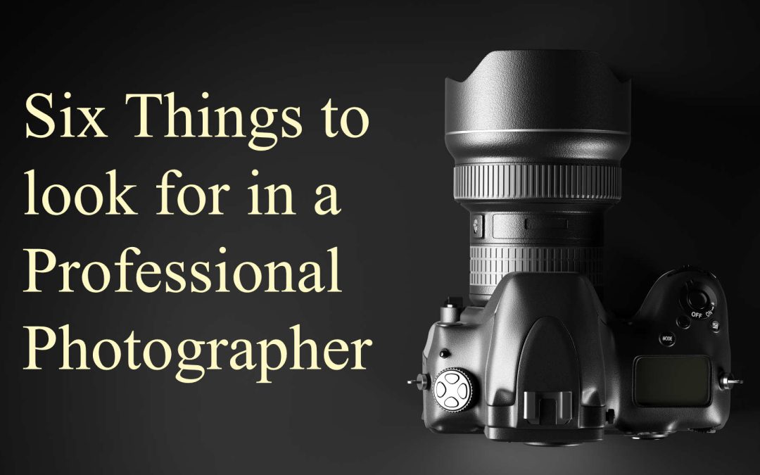 6 Things to Look For in a Professional Photographer